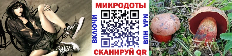 где найти наркотики  Узловая  Галлюциногенные грибы Psilocybe 