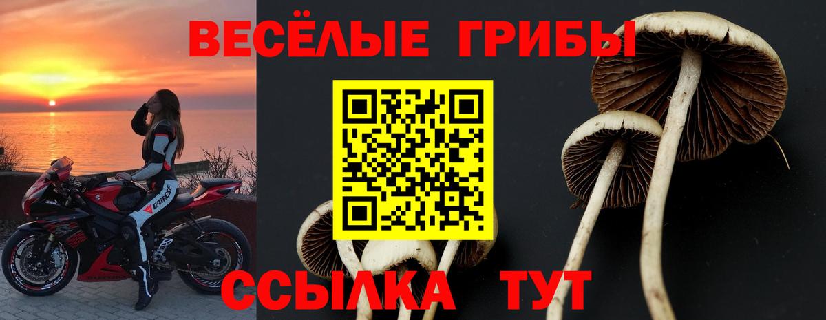 Псилоцибиновые грибы MAGIC MUSHROOMS  Галлюциногенные грибы Psilocybe  Вход с VPN  Узловая 